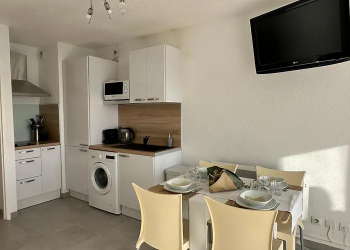 - Les Pieds Dans L'eau Agreable En Toutes Saisons 4 Couchages - Climatisation - Parking Prive - Piscine Sur - Vue Magnifique Et Rare - Situation Optimum - Les Argonautes - Ile Des Pecheurs - Cap D'agde アパート